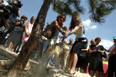 11 ÁRBOLES POR LAS VÍCTIMAS.