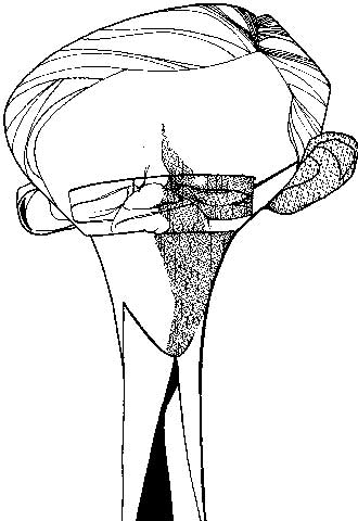 El 'mutante' tecnológico