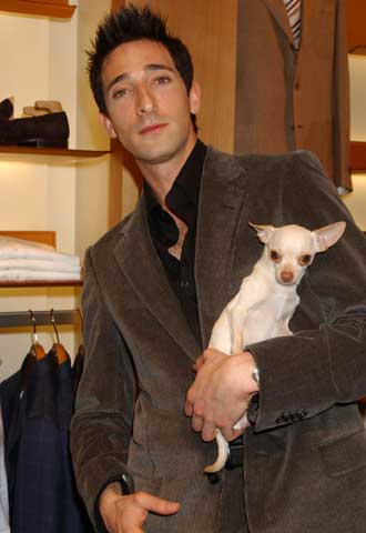 Adrien Brody, con su perro  Ceelo. 