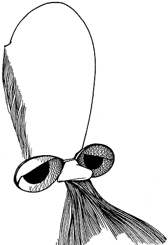 Un 'modesto' ingeniero