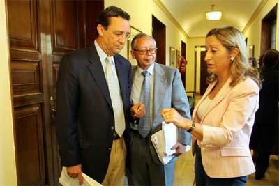La responsable de Política Social del PP, Ana Pastor, ayer en el Congreso.