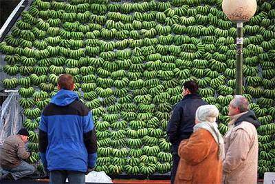 Bruselas reduce un 20% el arancel del plátano latinoamericano