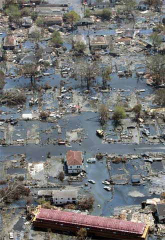 Inmigrantes de conveniencia