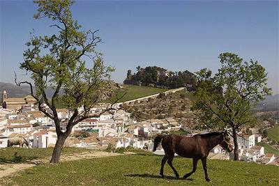 Carcabuey, en la ruta barroca al sur de Córdoba, es uno de los ocho municipios que forman parte del parque natural de las Sierras Subbéticas y uno de los 14 pueblos de la mancomunidad de la Subbética.