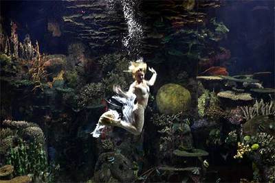 La artista estadounidense Julie Atlas realizó ayer una coreografía en un acuario de l'Oceanogràfic en la presentación de la Bienal de Valencia.