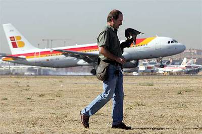 LOS VIGILANTES DEL CIELO DE BARAJAS