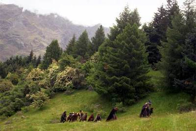 Escena de la película, dirigida por Peter Jackson, 'El señor de los anillos: la comunidad del anillo'.