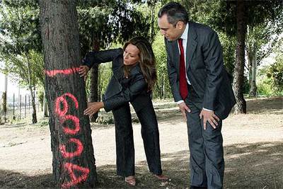 POLÉMICA POR LOS ÁRBOLES DE TIERNO GALVÁN