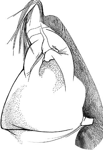 "Sólo tengo problemas con los presidentes sin personalidad"