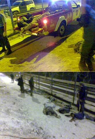 Cuerpos en la valla de Melilla