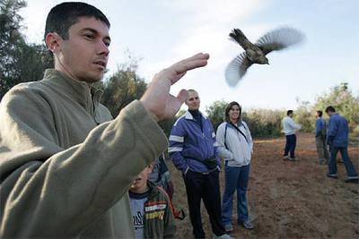 Elche celebra en el Clot de Galvany el Día de las Aves