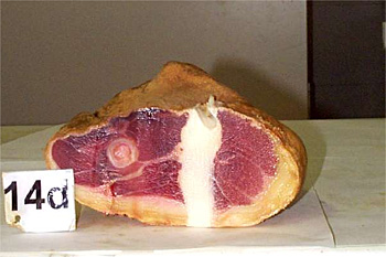 Corte transversal tras el proceso de elaboración