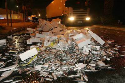 Sardinas en el asfalto de Málaga