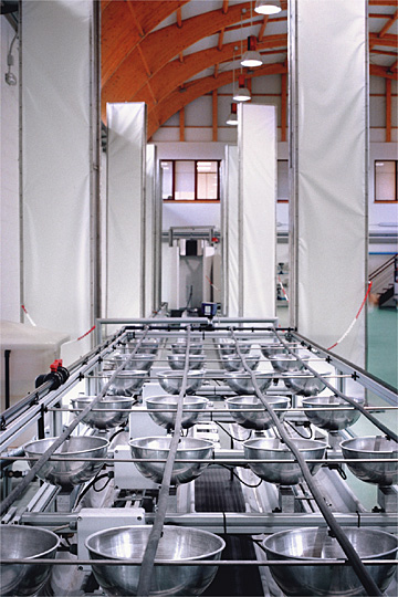 En un país como España, que sufre con la sequía, hay que saber aprovechar bien los recursos hídricos. Los regadíos se llevan en torno al 80% del consumo de agua. El Centro Nacional de Tecnología de Regadíos (en la foto, nave de prueba) investiga cómo mejorarlos.