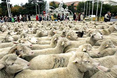 Una cañada en el centro de Madrid