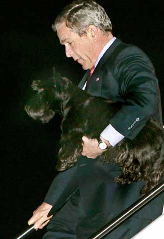 George W. Bush, con su perro  Barney .