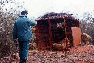 Un guardia civil señala la jaula de un león en la finca de Monterrubio de la Serena (Badajoz).