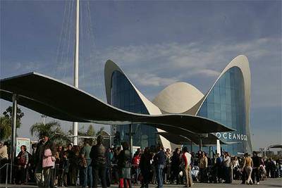 L'Oceanogràfic atrae al turismo familiar en el largo puente de otoño