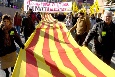 Protesta contra una línea de alta tensión transfronteriza