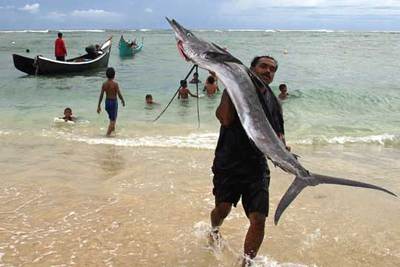 Un hombre acarrea un pez aguja en una playa de Banda Aceh (Indonesia) que resultó afectada por el  tsunami. 
