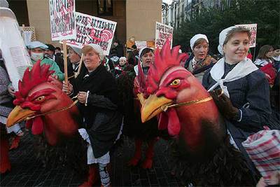 Santo Tomás parodia la gripe aviar