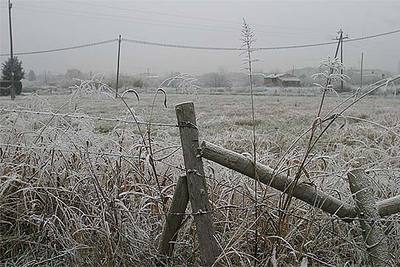 La 'boira gebradora' cubre Lleida de un manto blanco