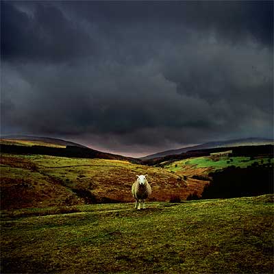 El verde paisaje de Gales es el telón de fondo de un viaje culinario para degustar los quesos y platos de la región.