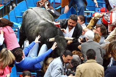 El toro  Pajarito , en las gradas de la plaza Monumental de México.