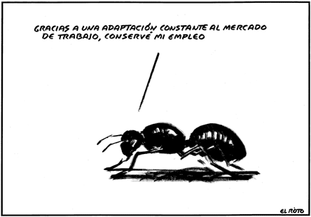 EL ROTO