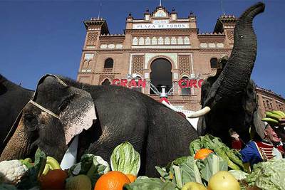 UN ALMUERZO DE 500 KILOS