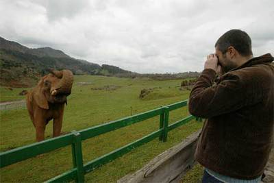 Un elefante en el parque de la naturaleza de Cabárceno, en Cantabria, emplazado en una mina de hierro que se remonta a la época romana.rnParapente y ala delta (al fondo) sobrevolando los alrededores de Loja (Granada).