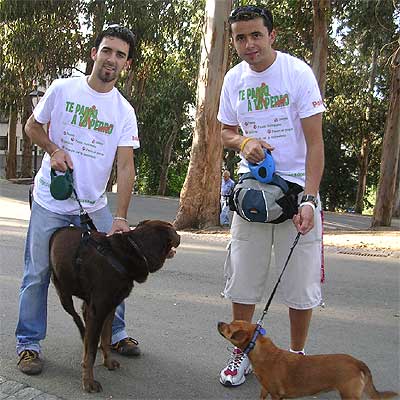 UN PASEO PARA CADA PERRO