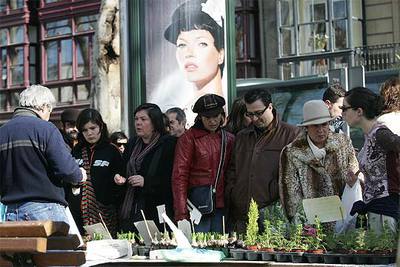 Flores y buen tiempo