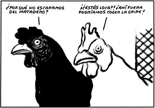 EL ROTO