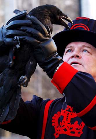 El responsable de los cuervos de la Torre de Londres, Derrick Coyle.