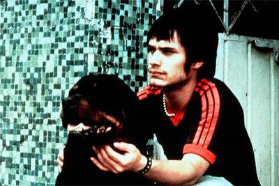 Gael García Bernal, en  Amores perros. 