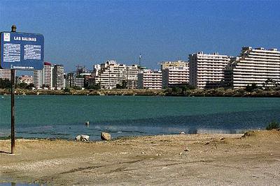 VIVIENDAS JUNTO A UN REFUGIO DE FLAMENCOS
