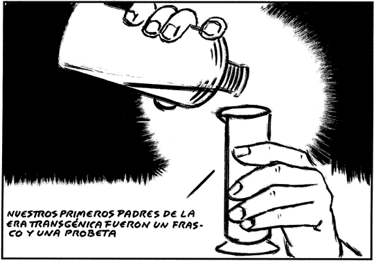 EL ROTO