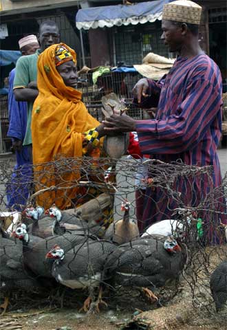 Una mujer compra gallinas en un mercado de Lagos, Nigeria.
