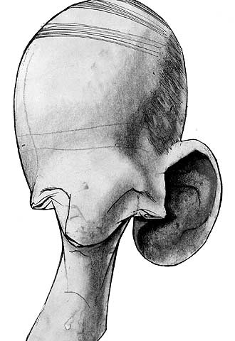 Todo gracias a Sharon