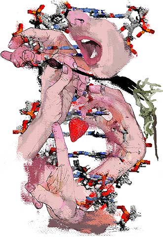 Los genes guiarán la dieta