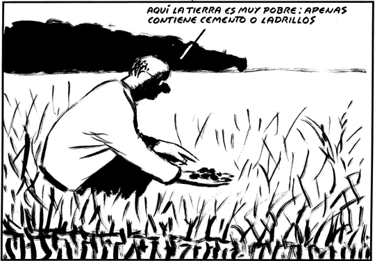 EL ROTO