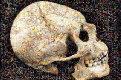 Obra gráfica de Joan Fontcuberta, titulada 'Googlerama: Origens', realizada a partir de imágenes extraídas del buscador Google de Internet en la búsqueda de determinadas palabras, que se regala a los socios del FAD.