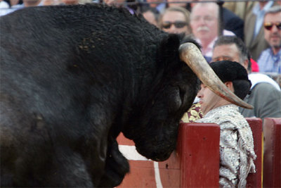 El toro  Zapatero  saltando ayer ante la barrera de la plaza de la Maestranza.