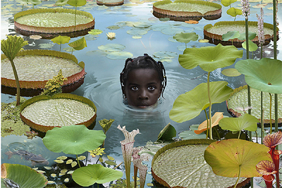 'World', fotografía de Ruud van Empel.