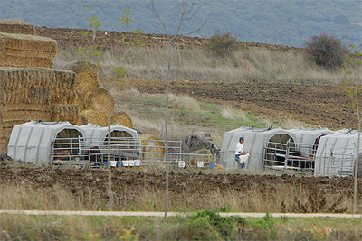 Explotación de los Quintana en Santa Cruz de Campezo, Álava.