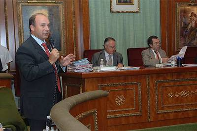 Carlos Rubio, durante su intervención en el pleno celebrado ayer en Marbella.