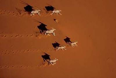 Imagen de  Planeta tierra. 