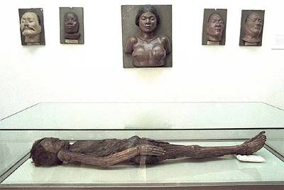 La momia guanche que reclama el Cabildo de Tenerife, en la urna que la protege, en el Museo Nacional de Antropología, en Madrid.