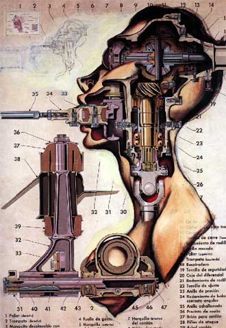 Ilustración de Fernando Vicente, de su serie 'Anatomías'.